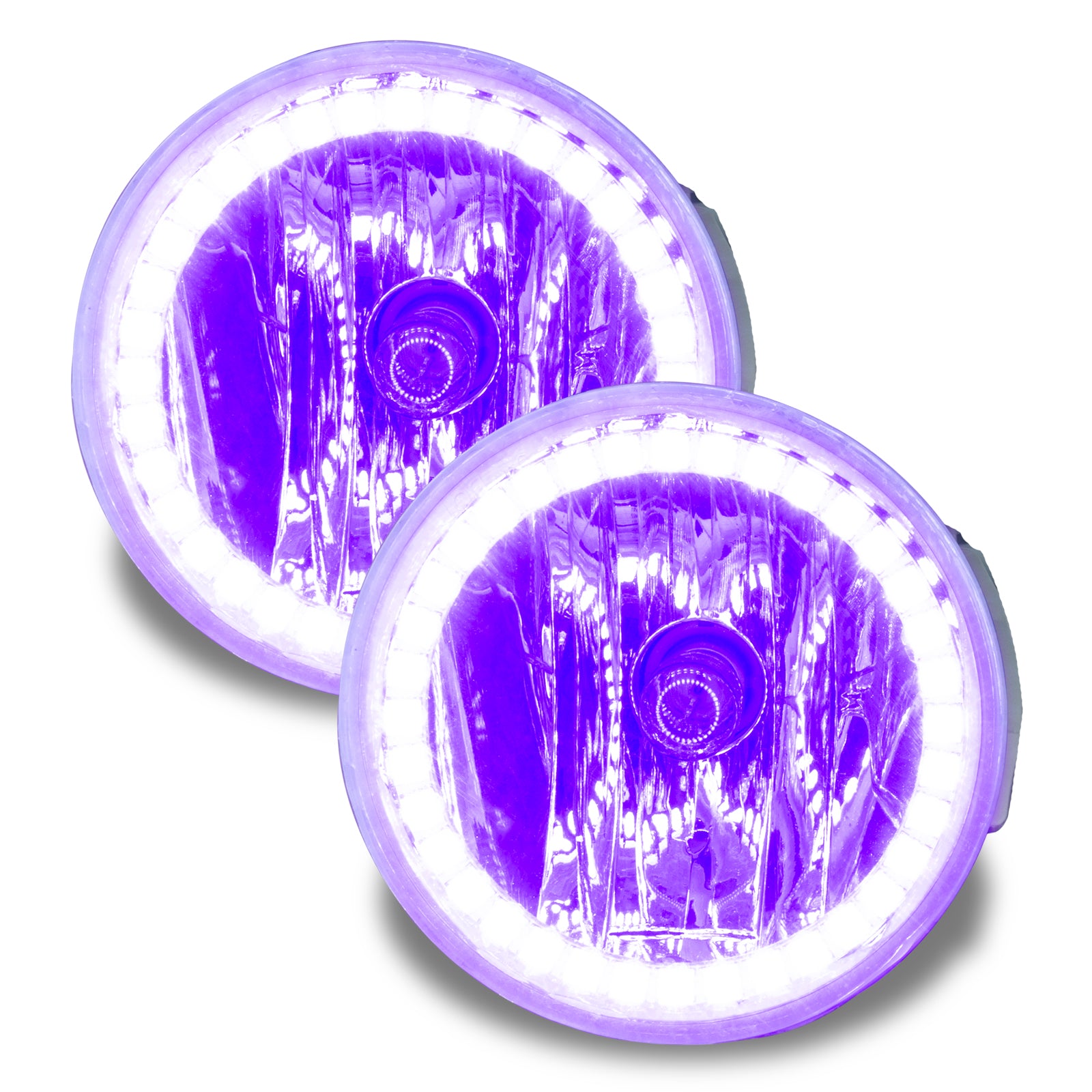 LED Fog Halo Kit, UV/Purple by Oracle Lighting
