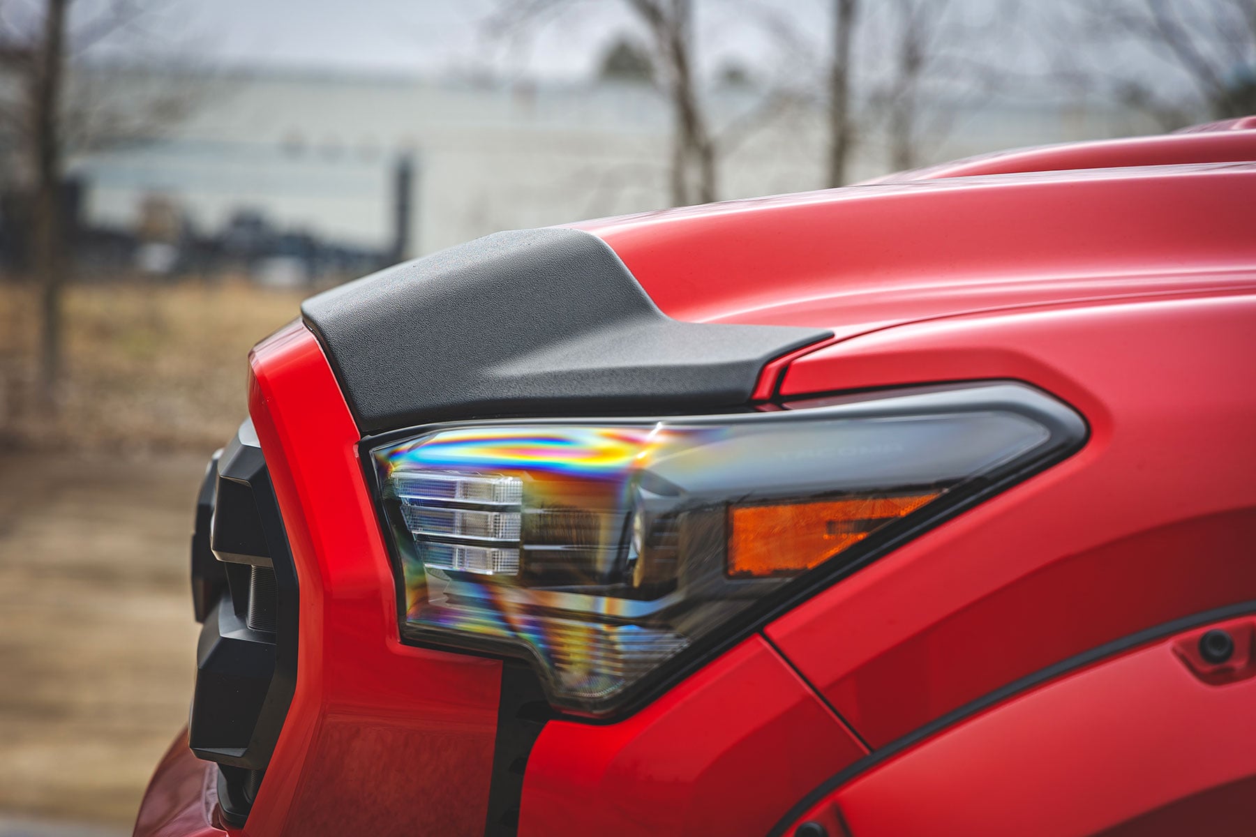Hood Protector | Toyota Tacoma 2WD/4WD (2024-2026) by Rough Country