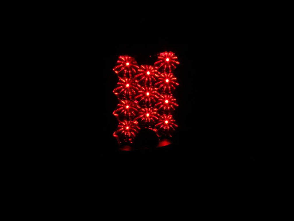 Tail Light Assembly by ANZO USA