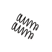B12 (Special) - Coil Spring Set by Bilstein