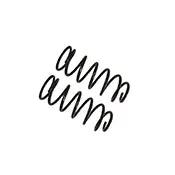 B12 (Special) - Coil Spring Set by Bilstein