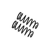 B12 (Special) - Coil Spring Set by Bilstein