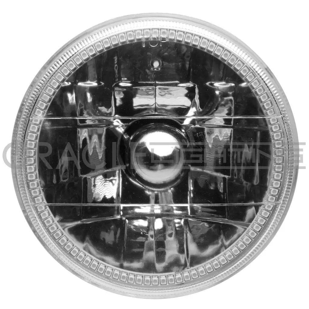ORACLE Lighting Pre-Installed Lights 5.75 IN. Sealed Beam - White Halo by Oracle Lighting
