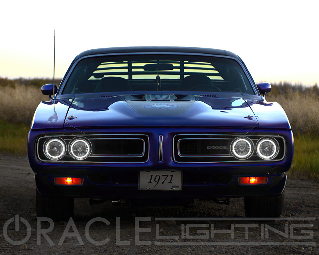 ORACLE Lighting Pre-Installed Lights 5.75 IN. Sealed Beam - White Halo by Oracle Lighting