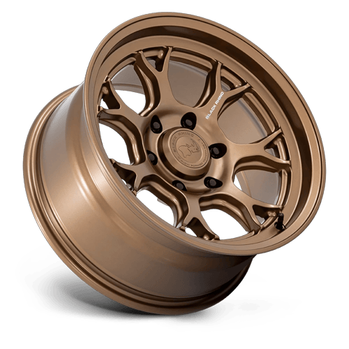 ETOSHA 17X8.5 6X5.5 106 +20 M-BRNZ by Black Rhino Wheels