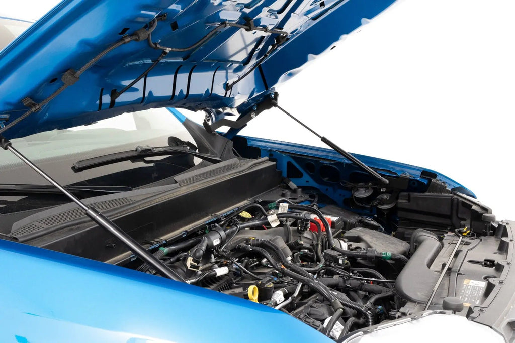 Hood Struts | Hydraulic | Ford Maverick 2WD/4WD (2022-2026) by Rough Country