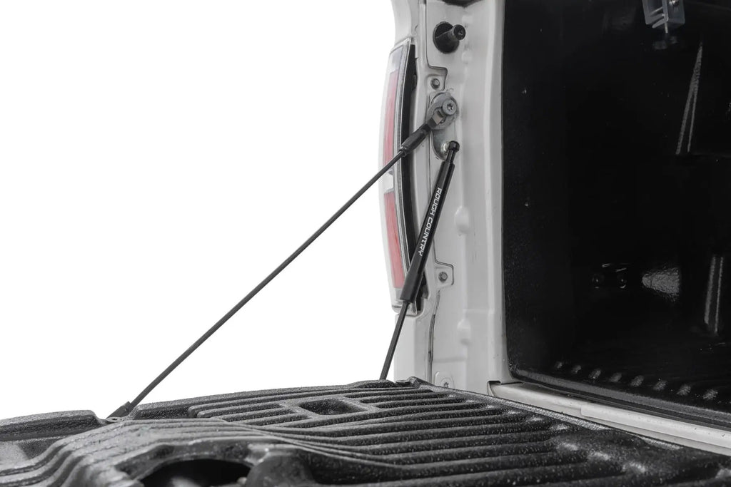 Tailgate Assist | Ford F-150 2WD/4WD (2004-2014) by Rough Country