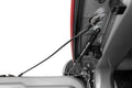 Tailgate Assist | Ram 1500 2WD/4WD (2019-2026) by Rough Country