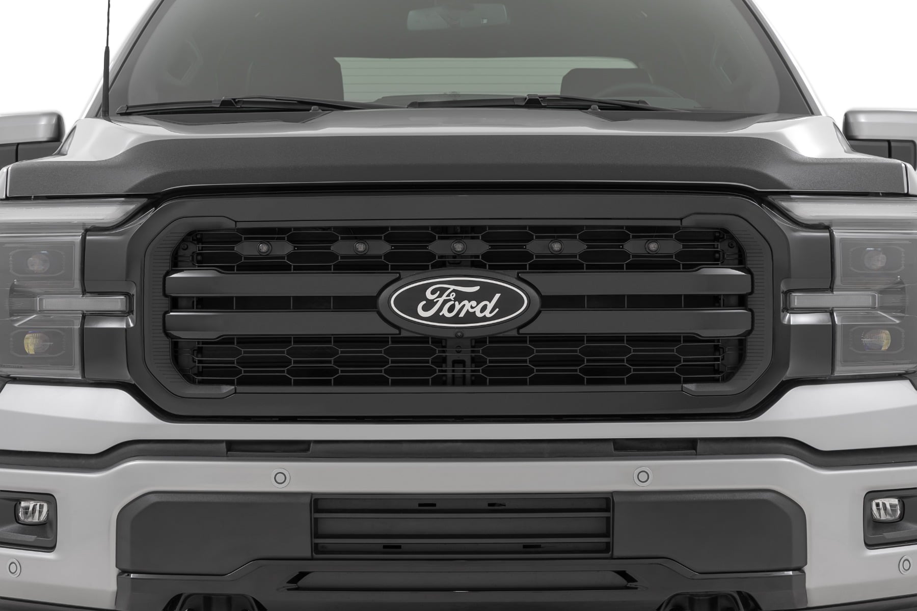 Hood Protector | Ford F-150 2WD/4WD (2021-2026) by Rough Country