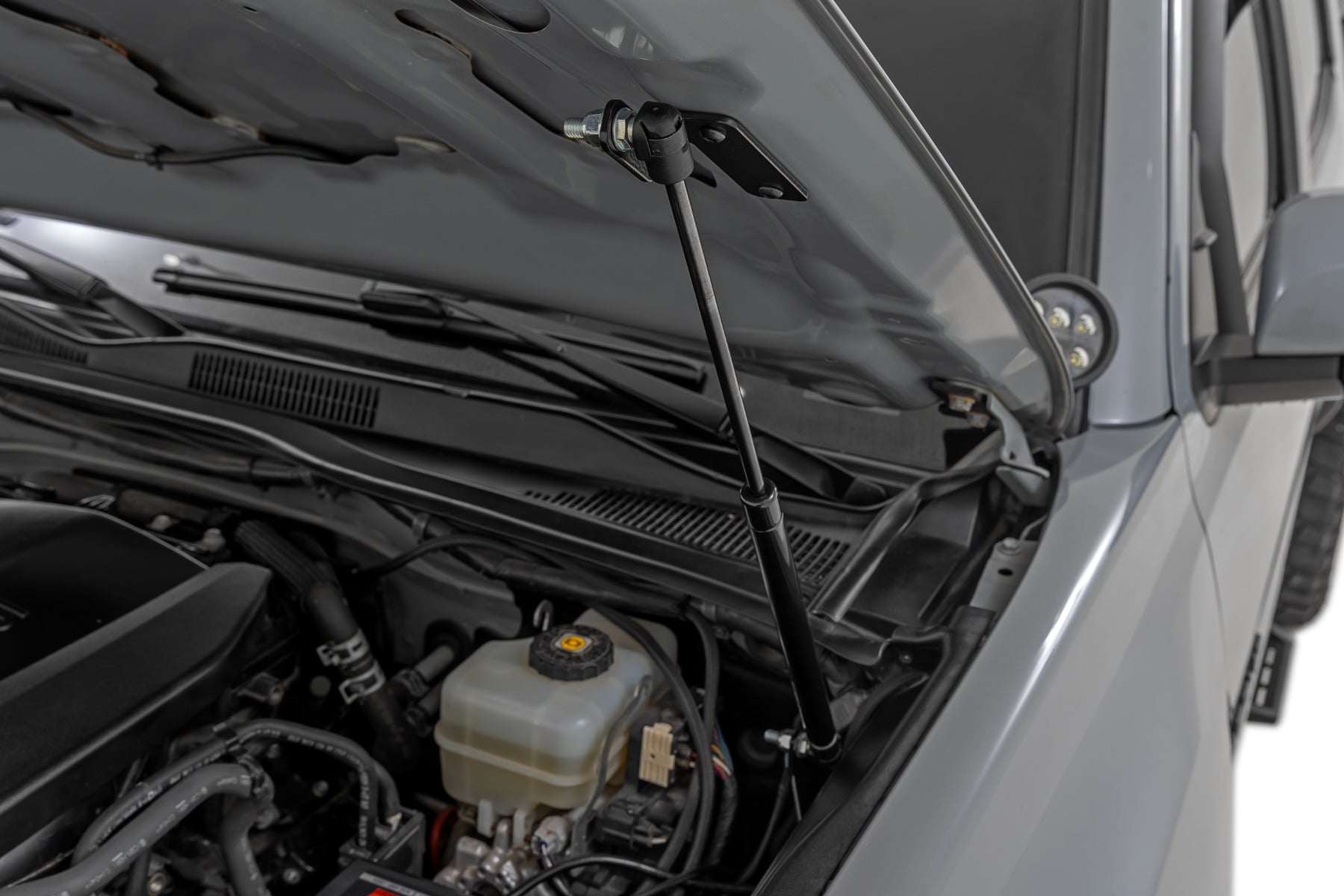 Hood Struts | Hydraulic | Toyota Tacoma 2WD/4WD (2016-2023) by Rough Country