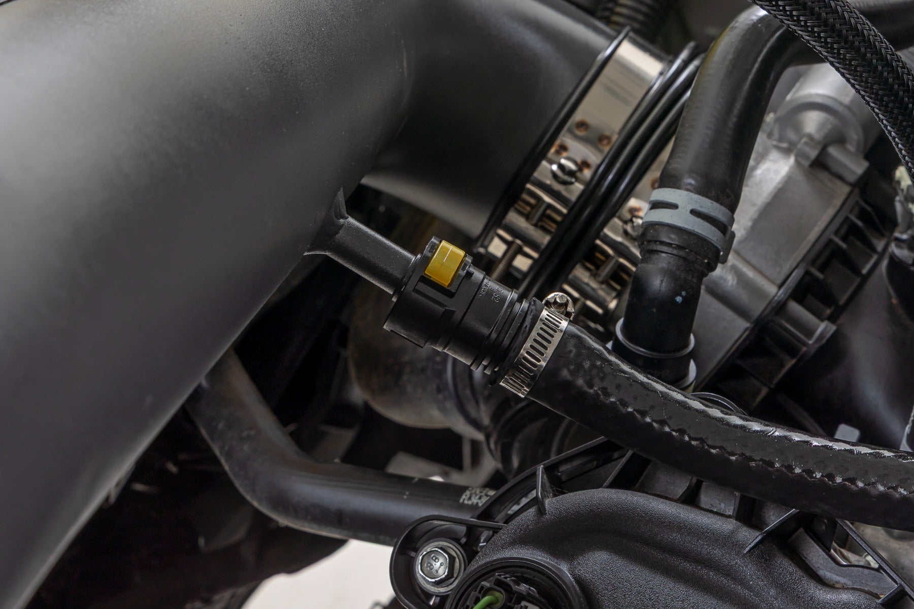 Cold Air Intake Kit | 5.0L | Ford F-150 2WD/4WD (2021-2026) by Rough Country