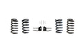 2"/4" LOWERING KIT (COILS, W/ MAGRIDE) by MaxTrac