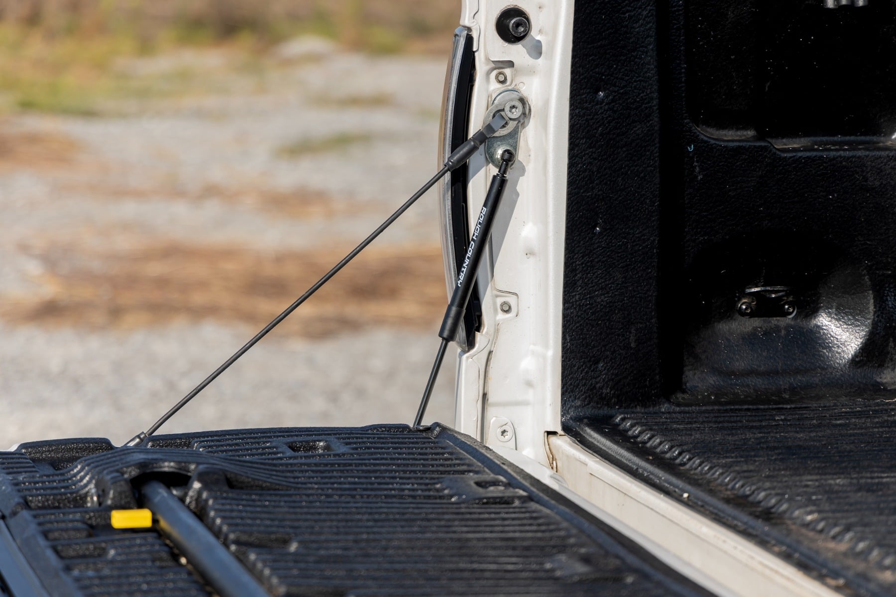 Tailgate Assist | Ford F-150 2WD/4WD (2004-2014) by Rough Country