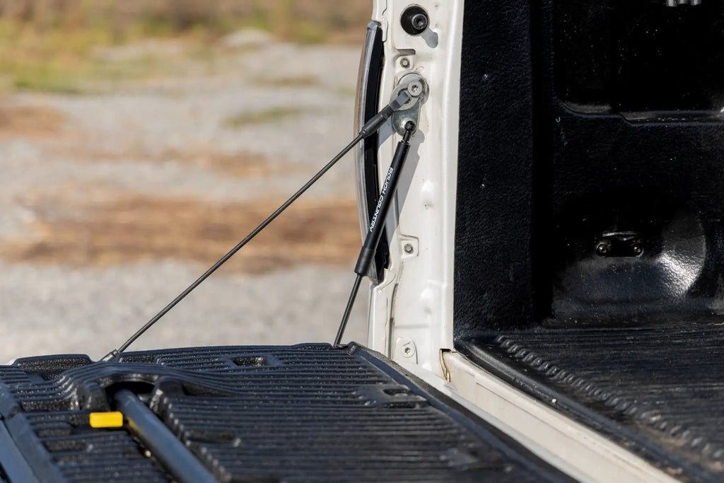 Tailgate Assist | Ford F-150 2WD/4WD (2004-2014) by Rough Country