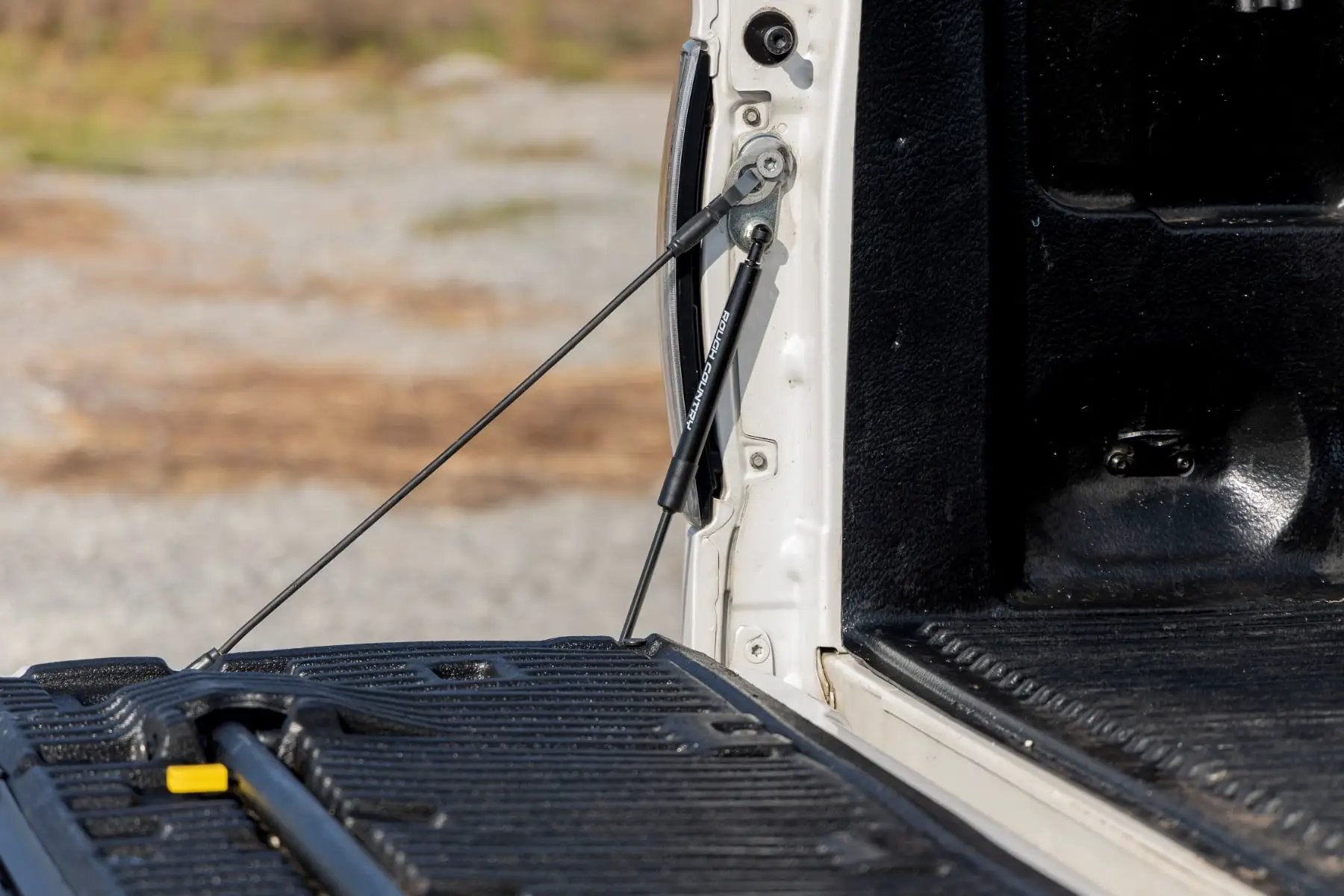 Tailgate Assist | Ford F-150 2WD/4WD (2004-2014) by Rough Country