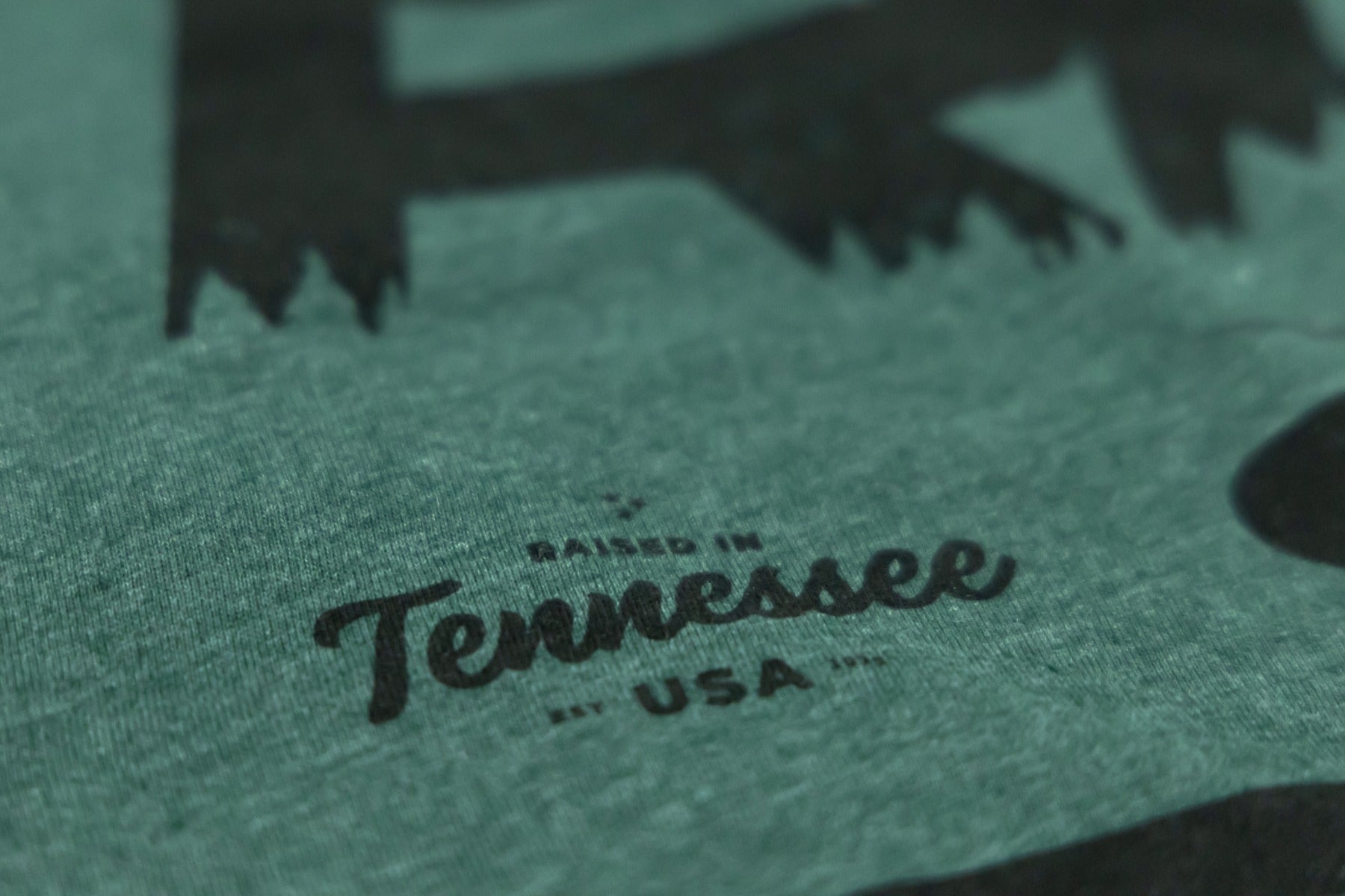 Rough Country T-Shirt | RC Mountains | Forest Green | LG by Rough Country