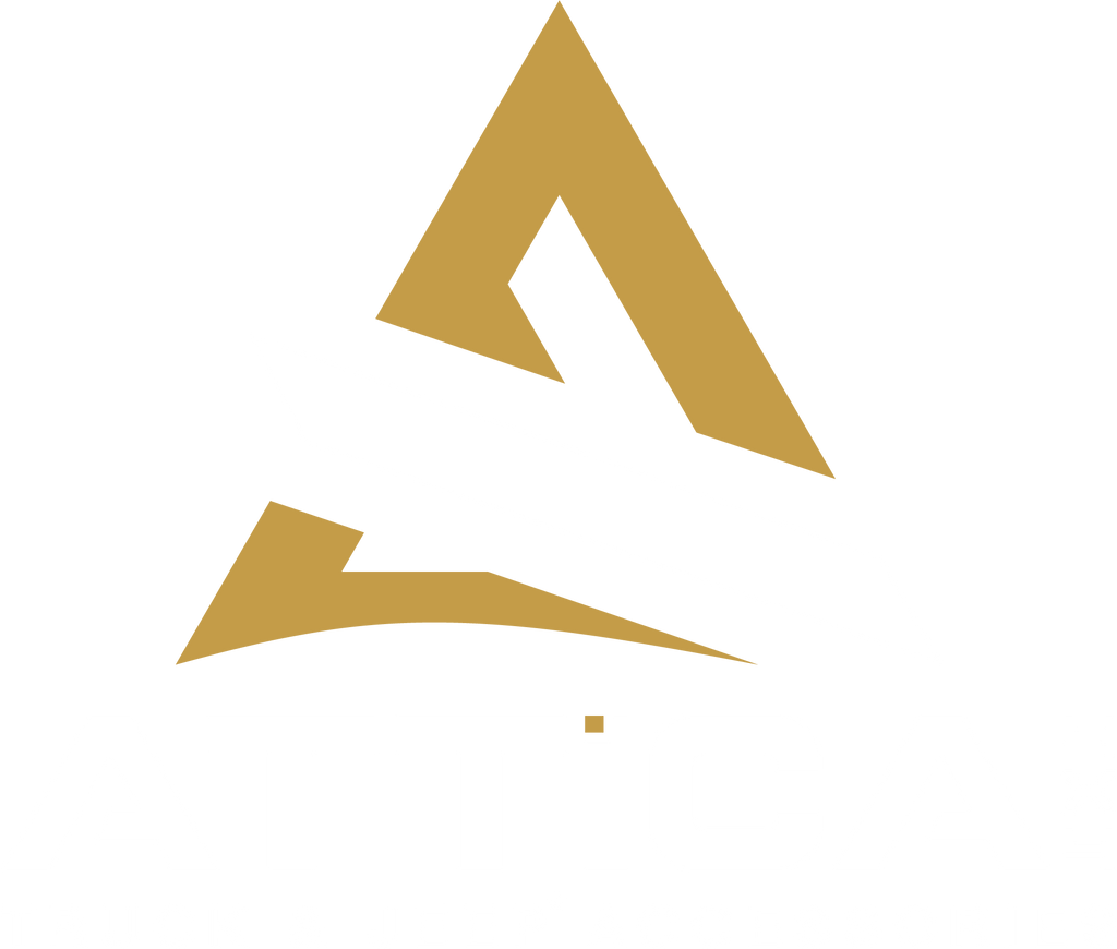 logo White.png