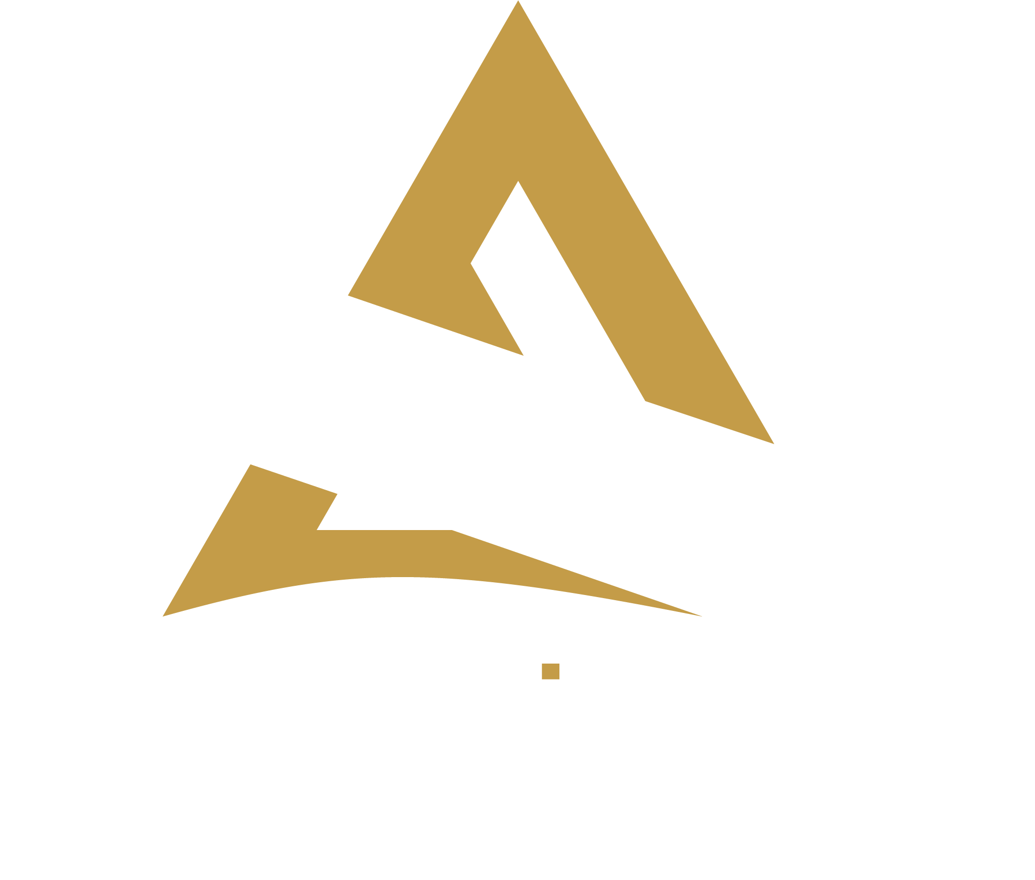 logo White.png