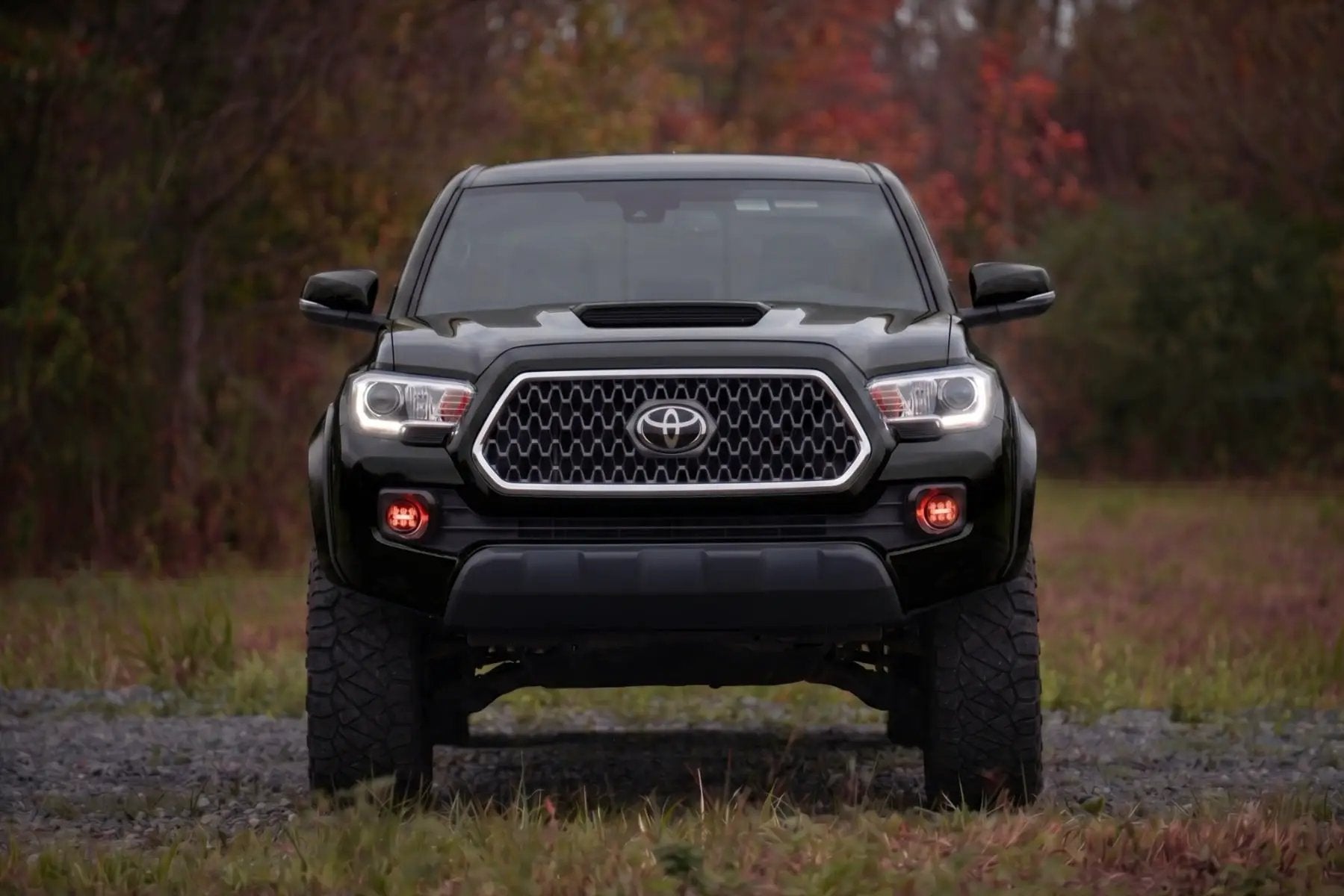 Sport Fender Flares | 202 Black Onyx | Toyota Tacoma 2WD/4WD (2016-2023) by Rough Country
